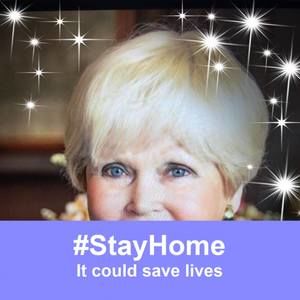 Meet your Posher, Annie